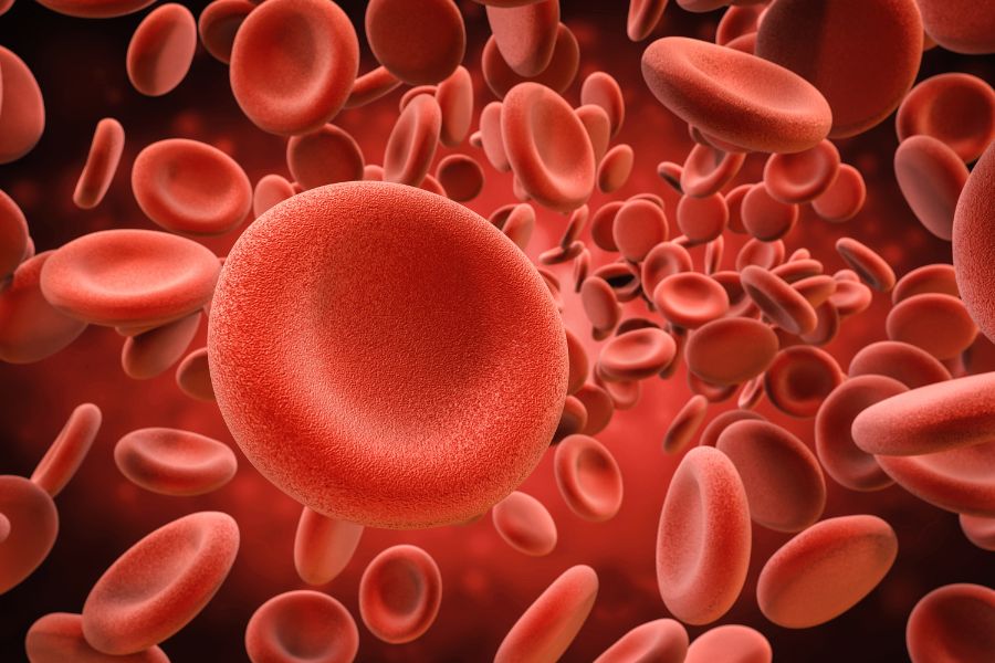 can aggregated blood platelets cause vertigo?