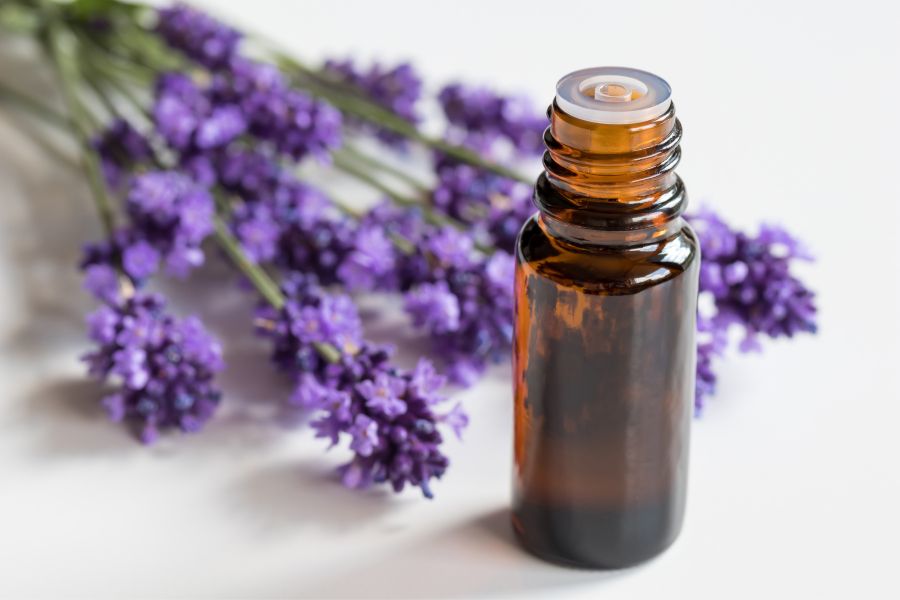 lavender essential oil for vertigo relief