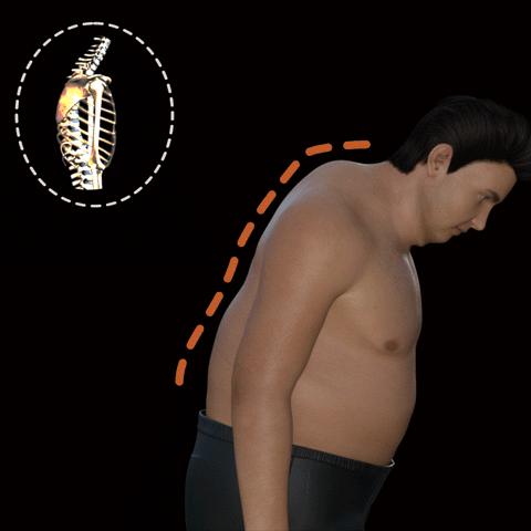 GFOUK™ Tourmaline MENIONIC Posture Improvement Vest