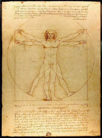 The Vitruvian Man, a drawing by the Italian Renaissance artist and scientist Leonardo da Vinci