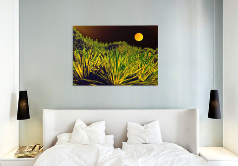 Moon Moods, artwork in bedroom