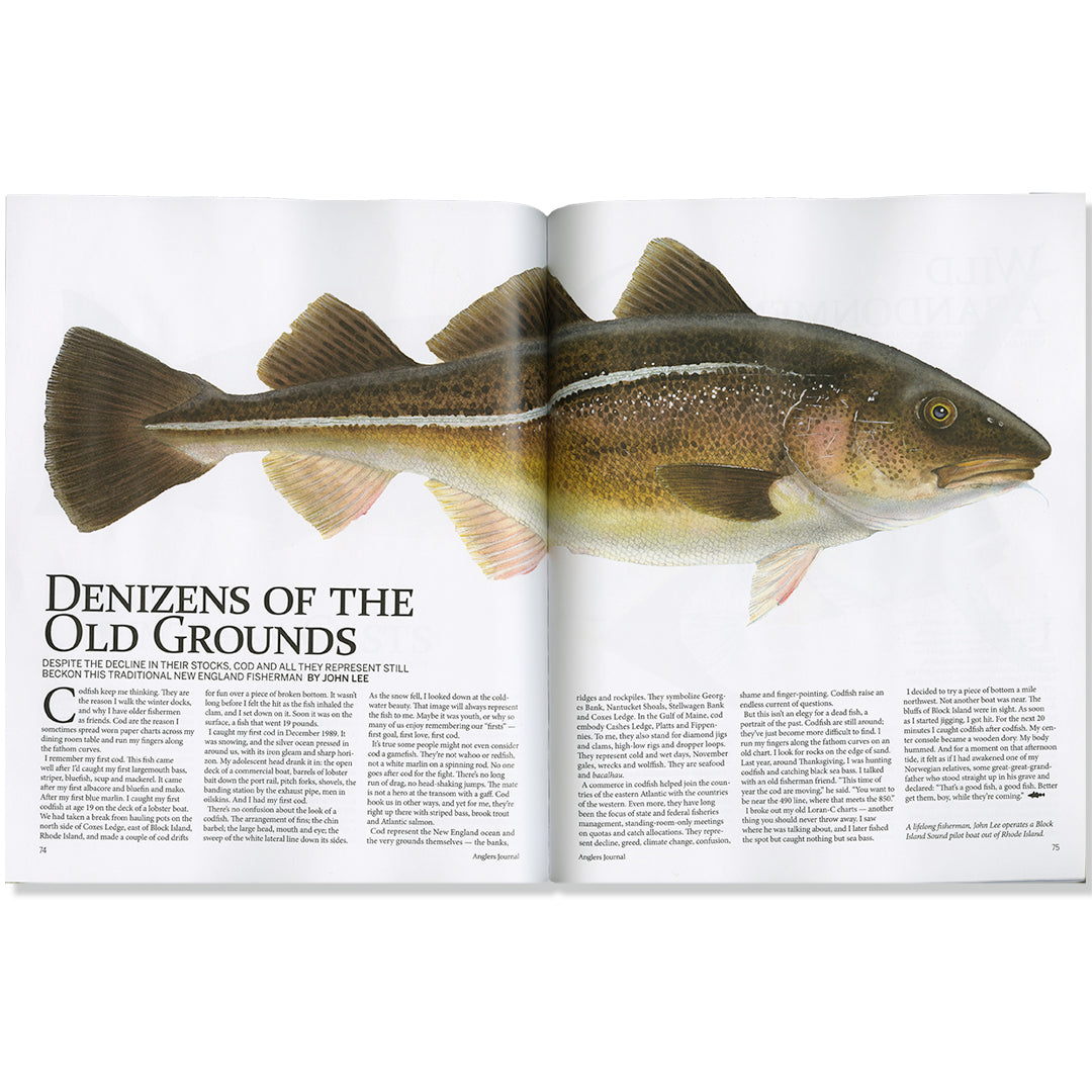 Cod fish magazine