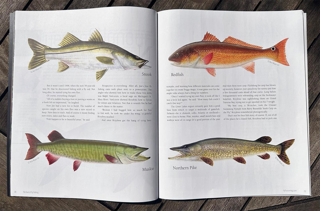 4-fish-paintings-published