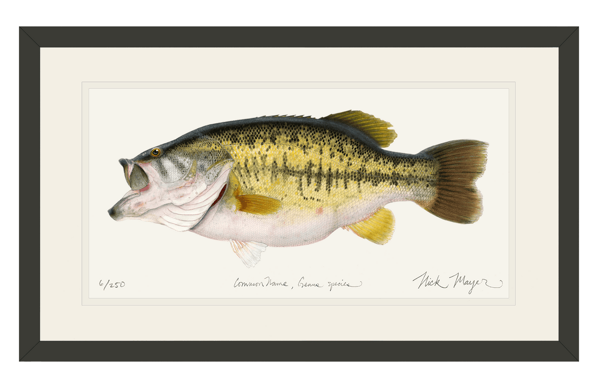 Iconic Largemouth Bass Painting: A Labor of Love