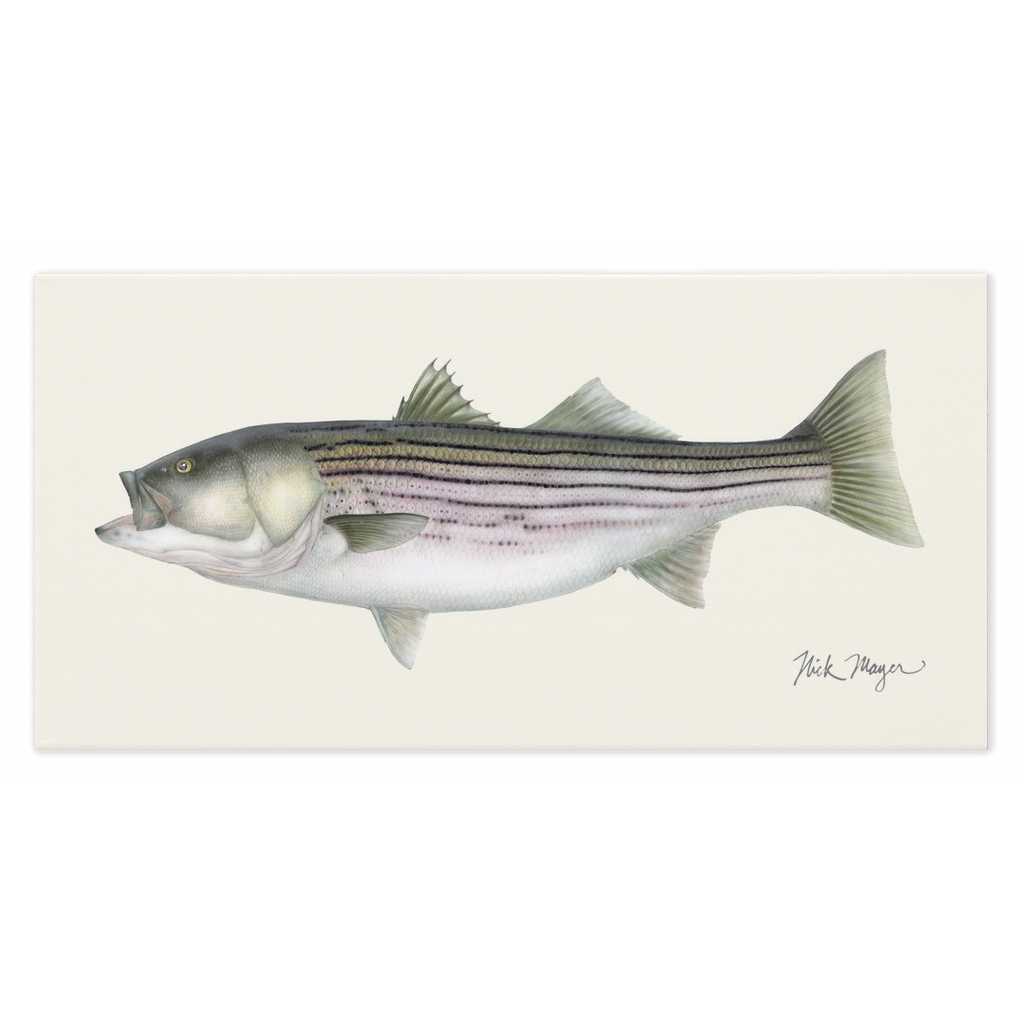 Custom Striped Bass Fish Pole Metal Sign Art,personalized Striped