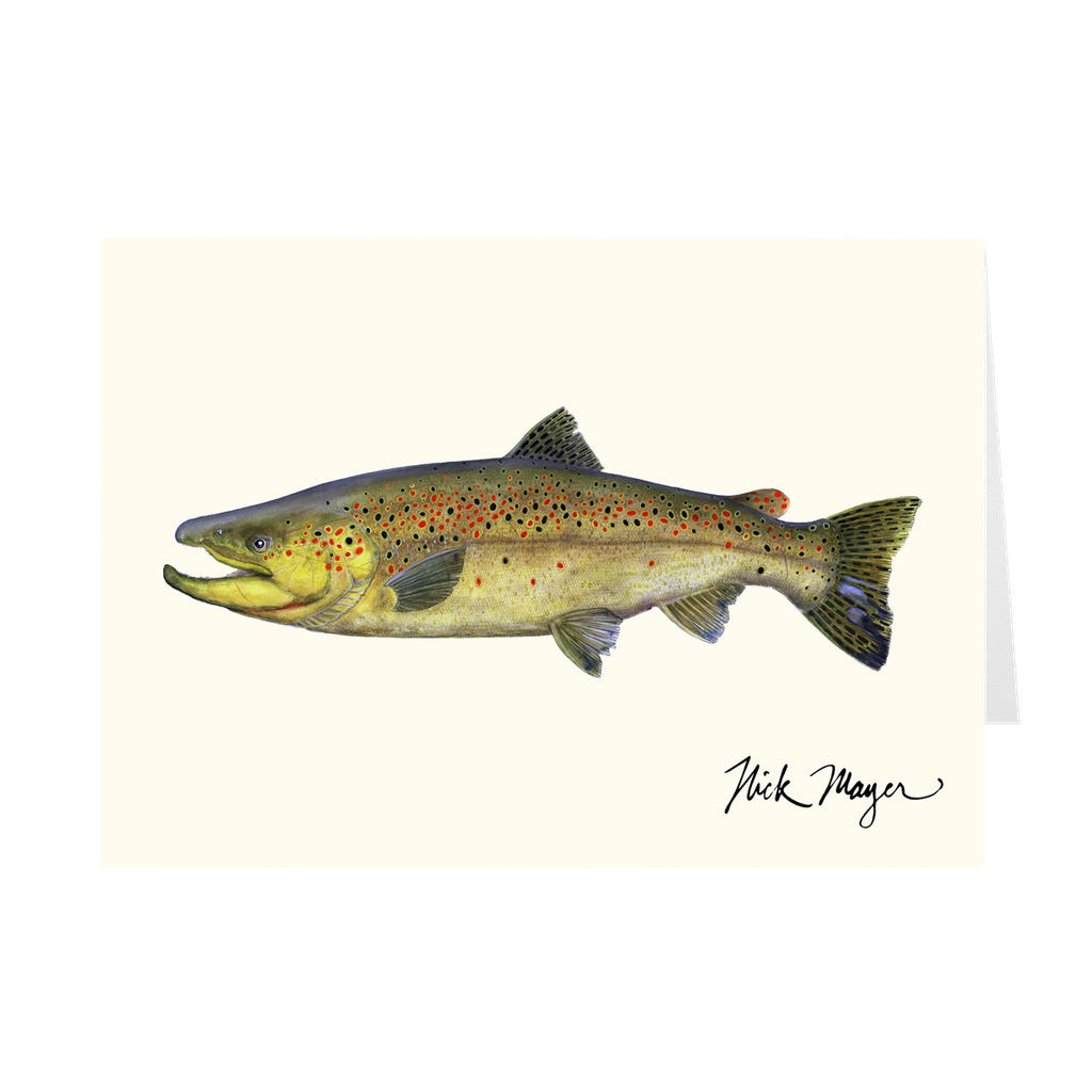 Anglers' Favorite Carnivorous North American Trout