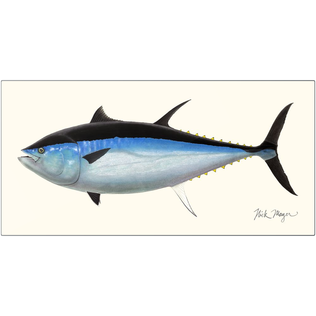 Giant Bluefin Tuna 2 Metal Print: Rare Beauty of the Ocean