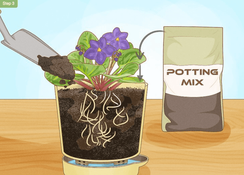Self-watering Plant Pot