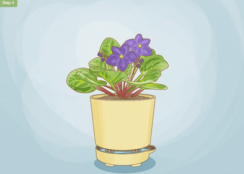 Self-watering Plant Pot