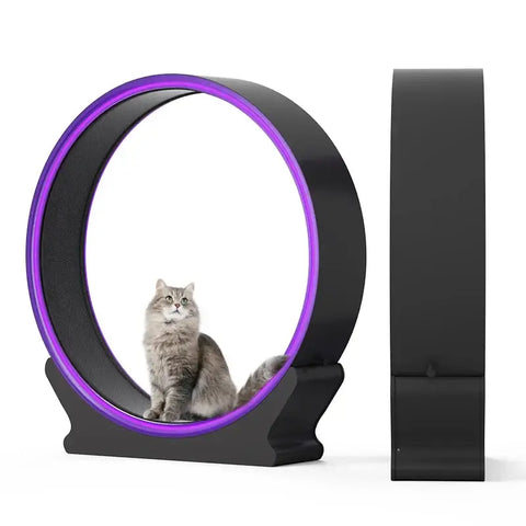 Cat Exercise Wheel Treadmill