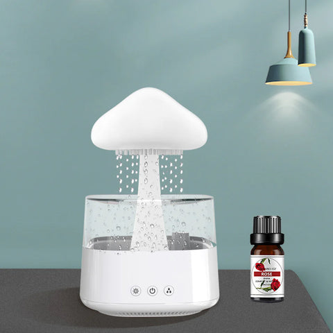 Humidifier Rain Cloud diffuser