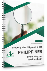 due diligence the Philippines