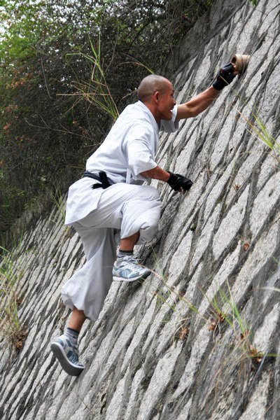 72 Arts of Shaolin: (24) Lizard Climbs the Wall