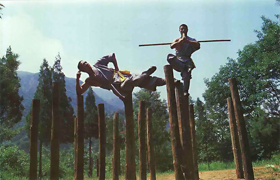 72 Arts of Shaolin: (28) Poles of Plum Bloom