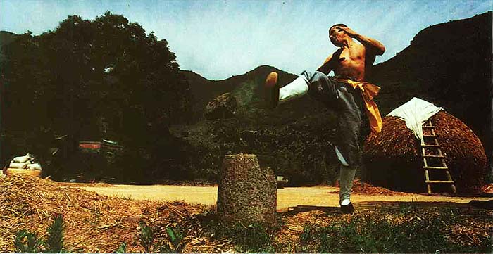 72 Arts of Shaolin: (3) Striking with Foot