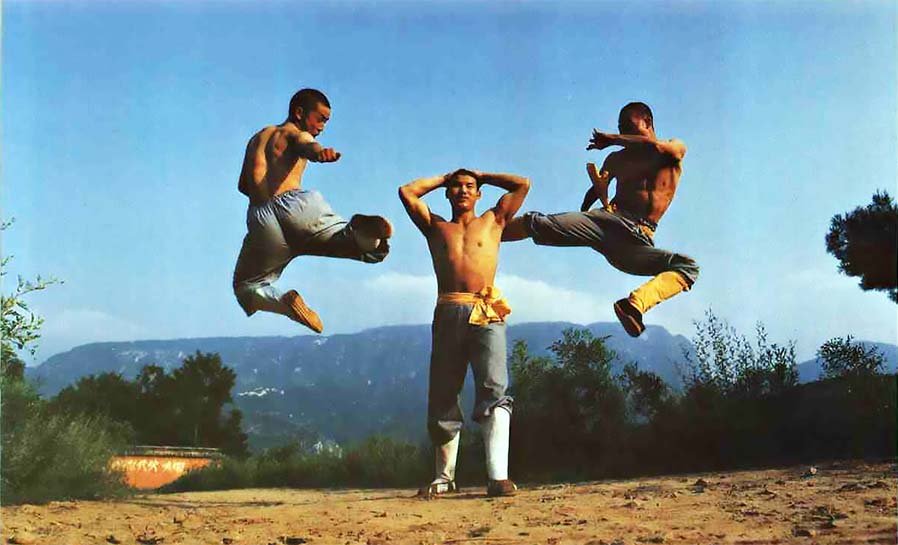 72 Arts of Shaolin: (10) A Series of Blows