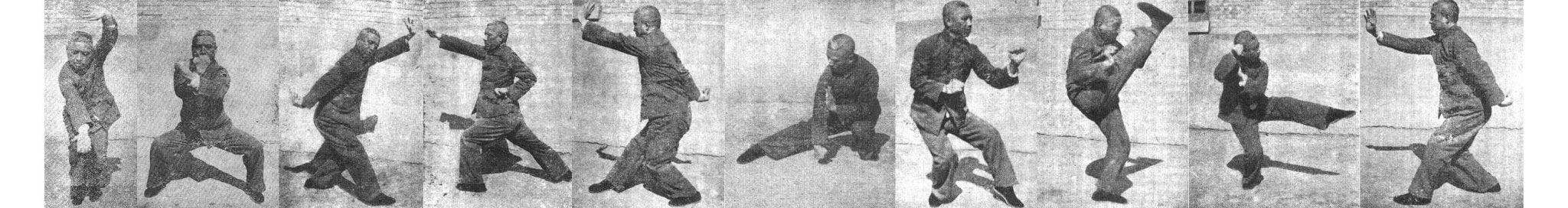Chuan Na Quan. Style of Piercing Blows and Holds.