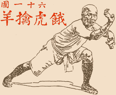 Lam Sai Wing performing Fu Hok Seung Ying Kuen form.