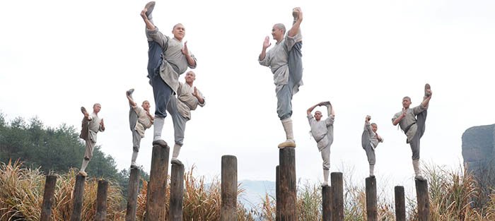 MEI HUA ZHUANG: Poles of Plum Blossom. External and Internal Training.