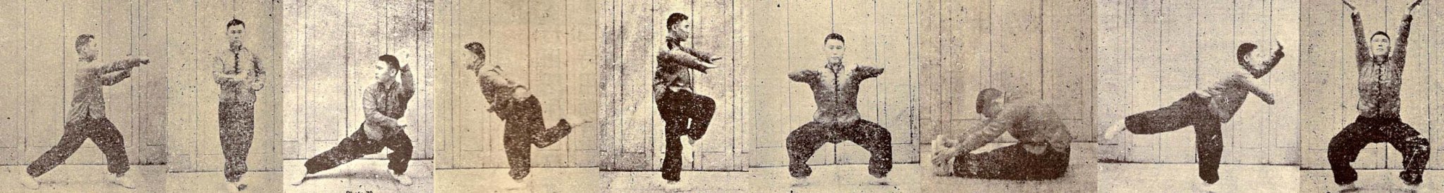 Luohan Gong. Shaolin Qigong. Internal Training Set.