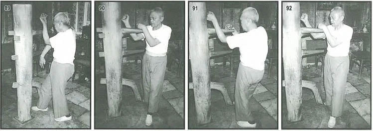 Wing Tsun (Wing Chun) Kung Fu