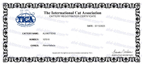 CATTERY CERTIFICATE