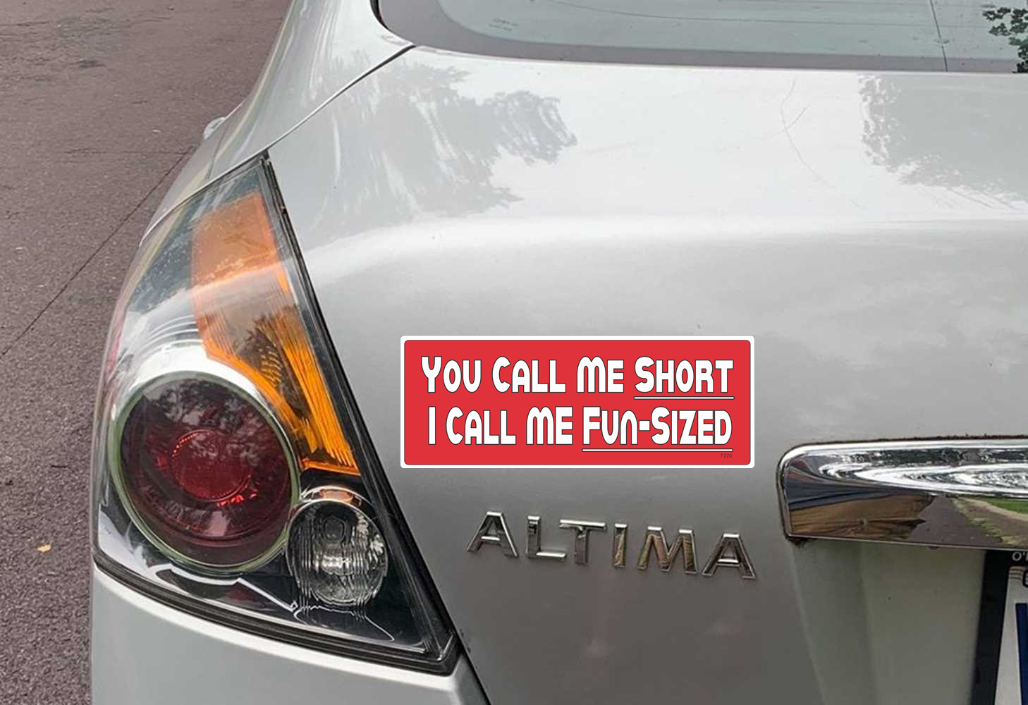 YOU CALL ME SHORT, I CALL ME FIN SIZED BUMPER STICKER ON CAR