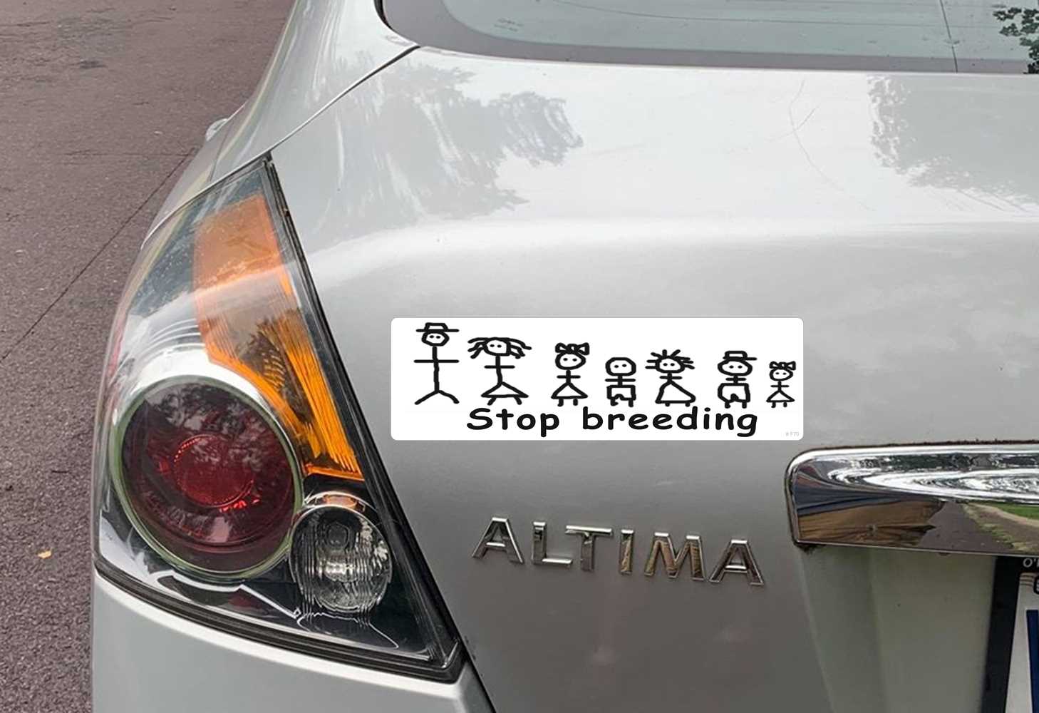 stop breeding bumper sticker on car