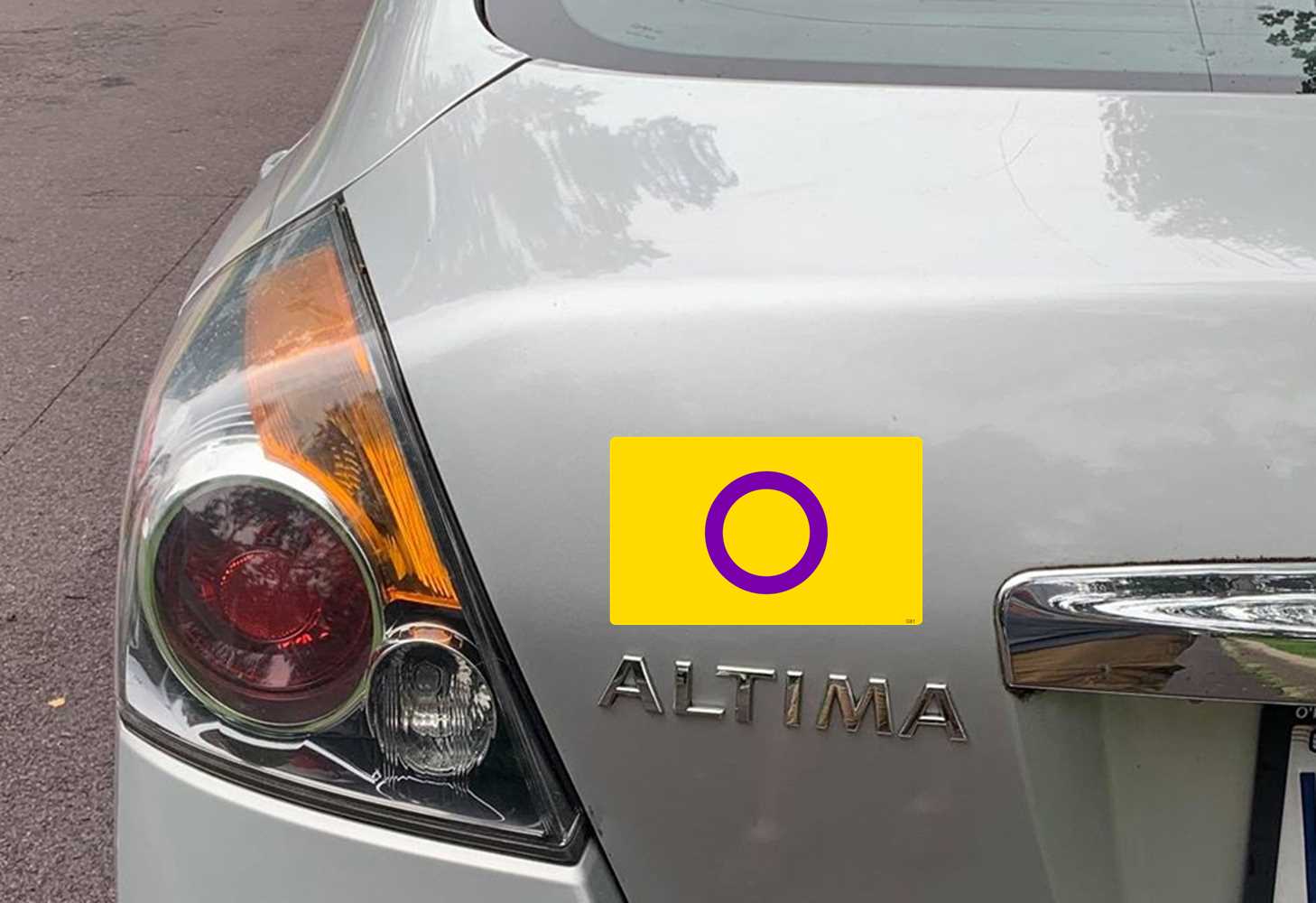 Intersex Pride Flag Bumper Sticker On Car