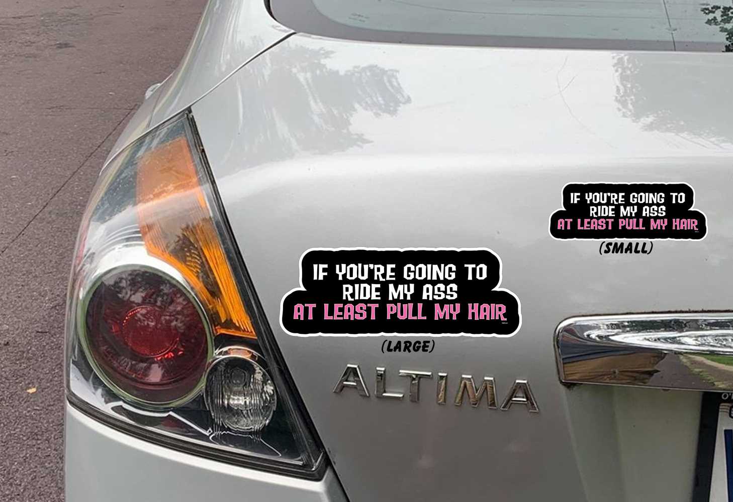 YOU'RE GOING TO RIDE MY ASS, AT LEAST PULL MY HAIR BUMPER STICKERS ON CAR