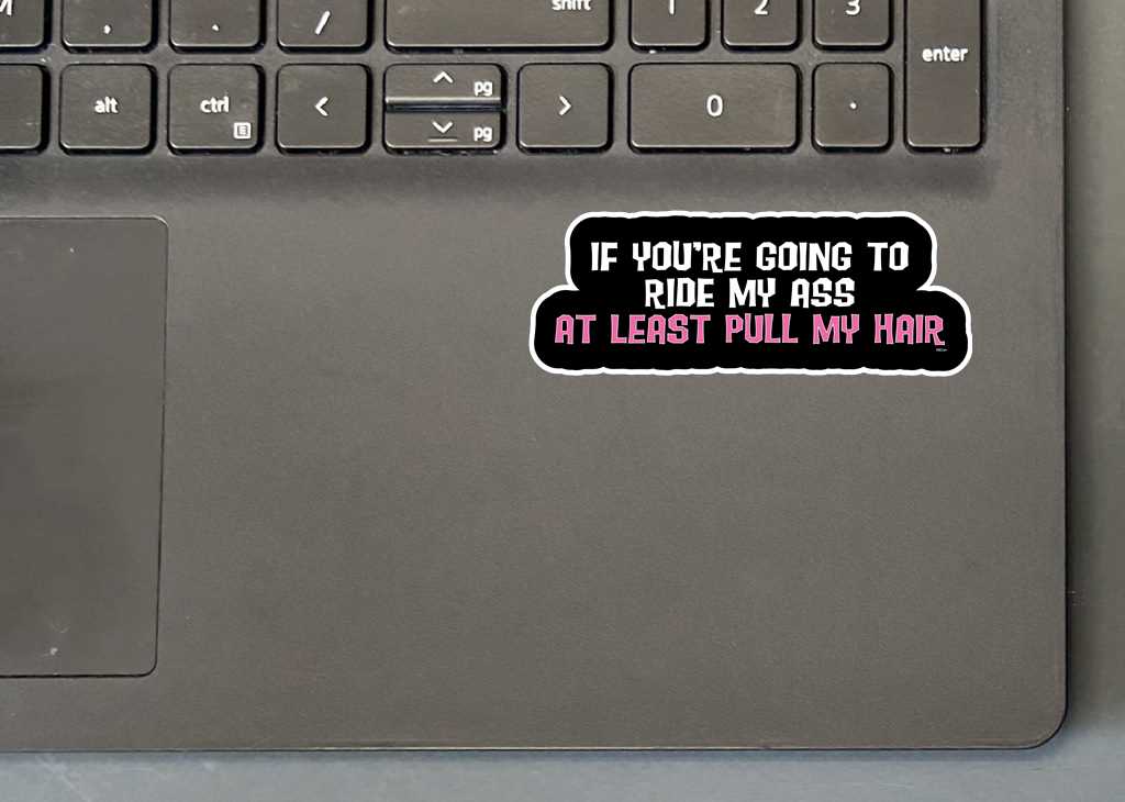 YOU'RE GOING TO RIDE MY ASS, AT LEAST PULL MY HAIR PHONE STICKER ON LAPTOP