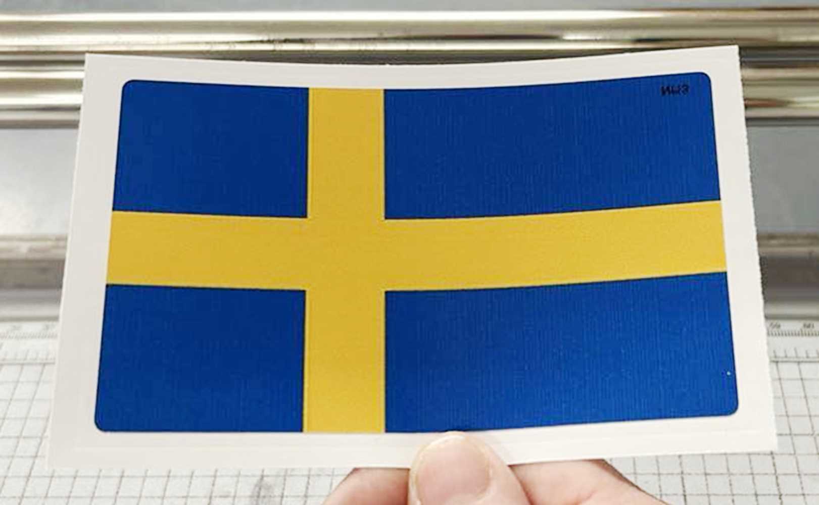 Sweden, Swedish Flag in hand