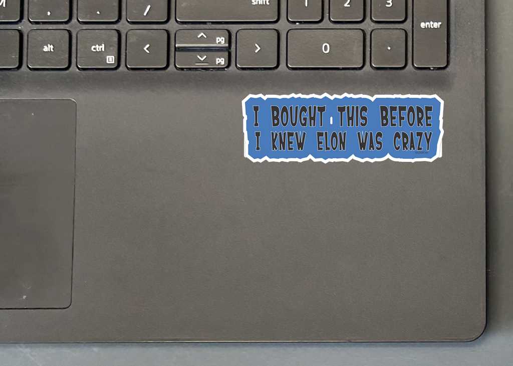 I BOUGHT THIS BEFORE I KNEW ELON WAS CRAZY MINI STICKER ON LAPTOP