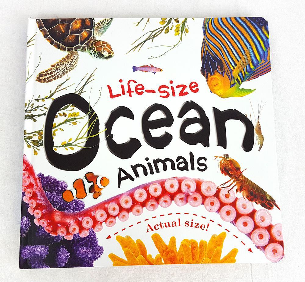 Life-Size Ocean Animals