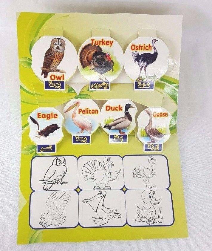 Children Pop-up book (Arabic-English) Pre-School Write&Wipe 1000 Times