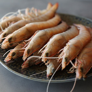 prawns