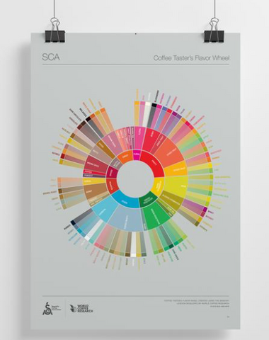 The Coffee Taster's Flavor Wheel by SCA