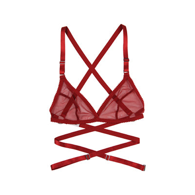 Red lace apex mesh top and knicker set bands