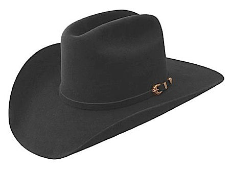 John B. Stetson 3x Beaver Cowboy Hat 6 3/4 Feather Hat band