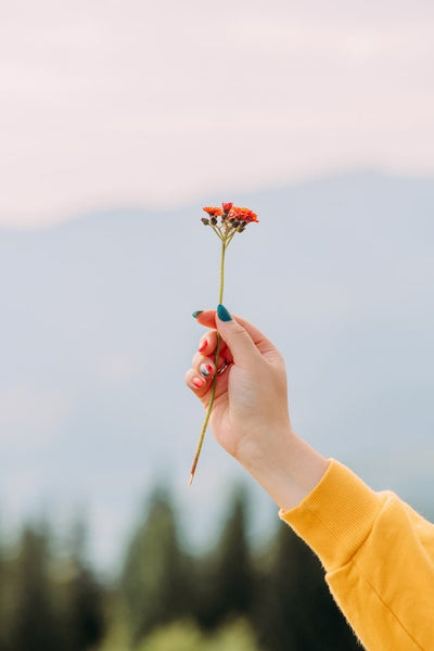 Hand adorned with colorful fake nails holding a delicate red flower against a serene mountainous backdrop