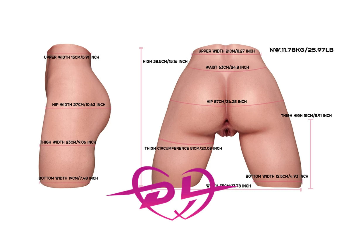 torso butt specifications