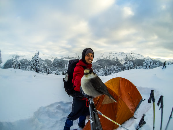 Andre with a bird on his Spivo Stick while hiking in BC