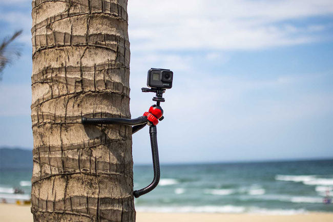 GoPro on adjustable tripod hanging on tree
