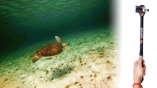 Spivo Stick In Use Snorkelling Under Water