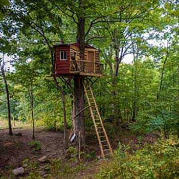 tree house