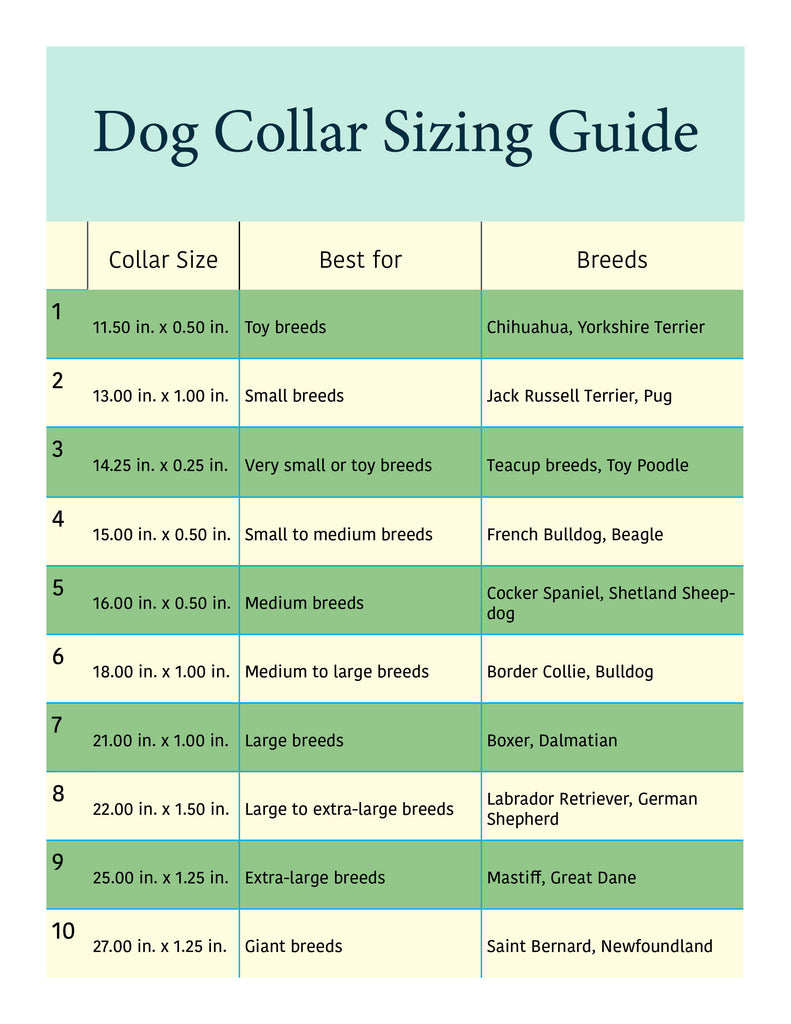 Collier pour chien – Guide des tailles