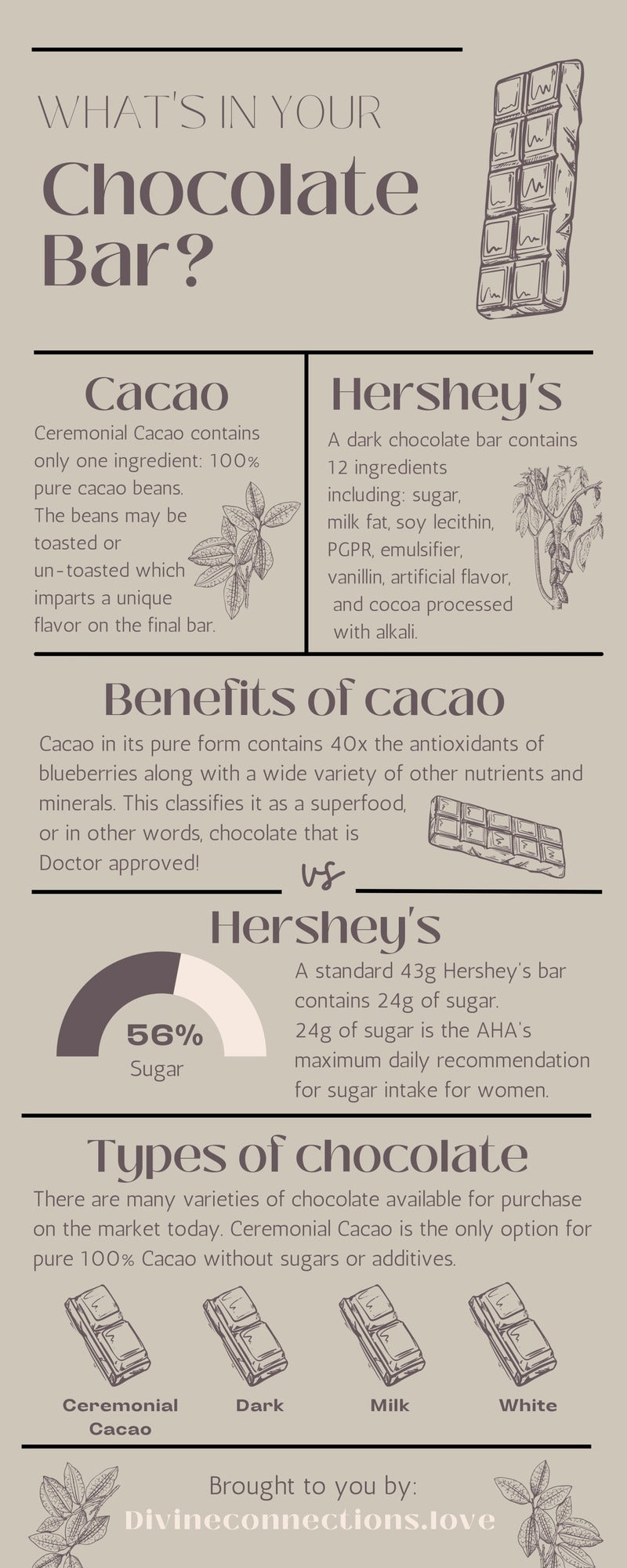 What_is_Cacao_DivineConnections_Blog