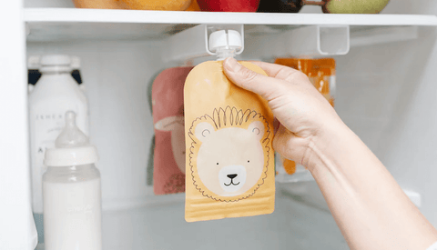 Baby Food Pouches and Other Practical Ways to Store Baby Food