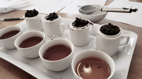 Various Teas displayed for a tea tasting