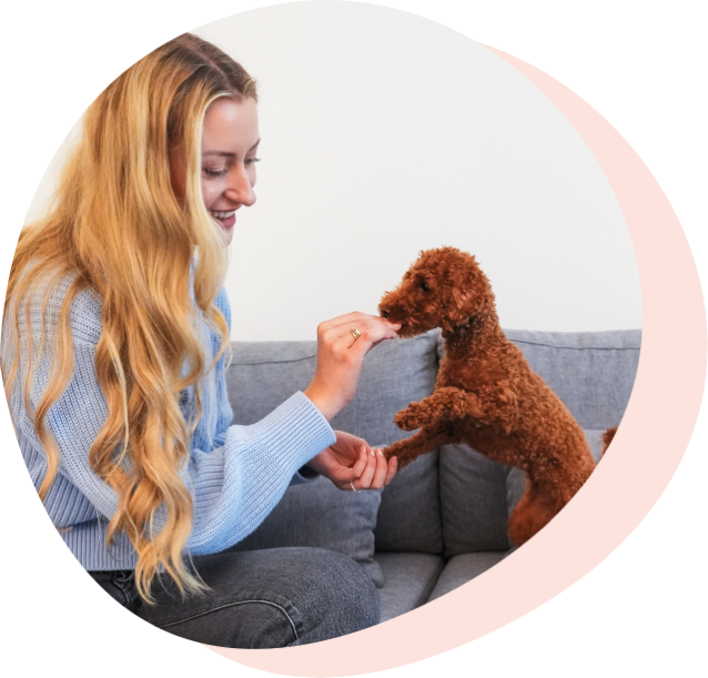 probiotica voor hond met toy poodle